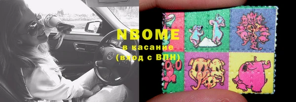 индика Бородино