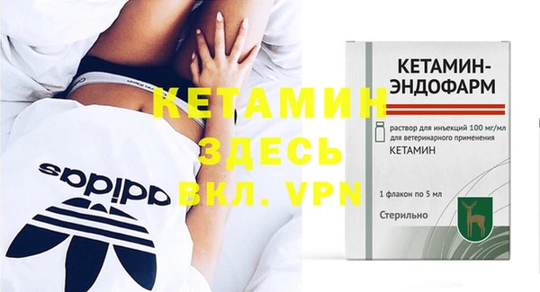 сатива Бронницы