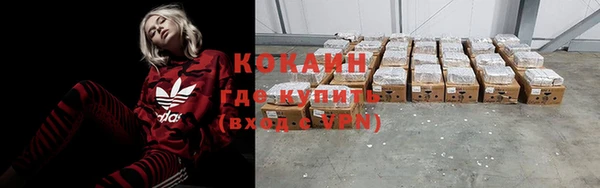 сатива Бронницы