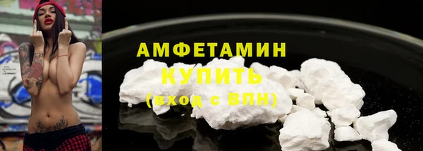 индика Бородино