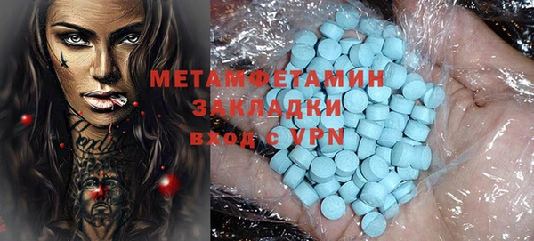 индика Бородино
