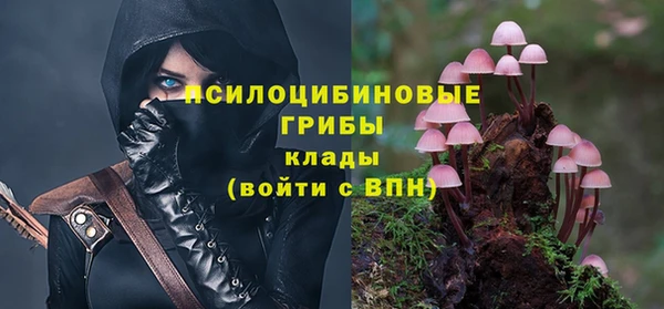 сатива Бронницы